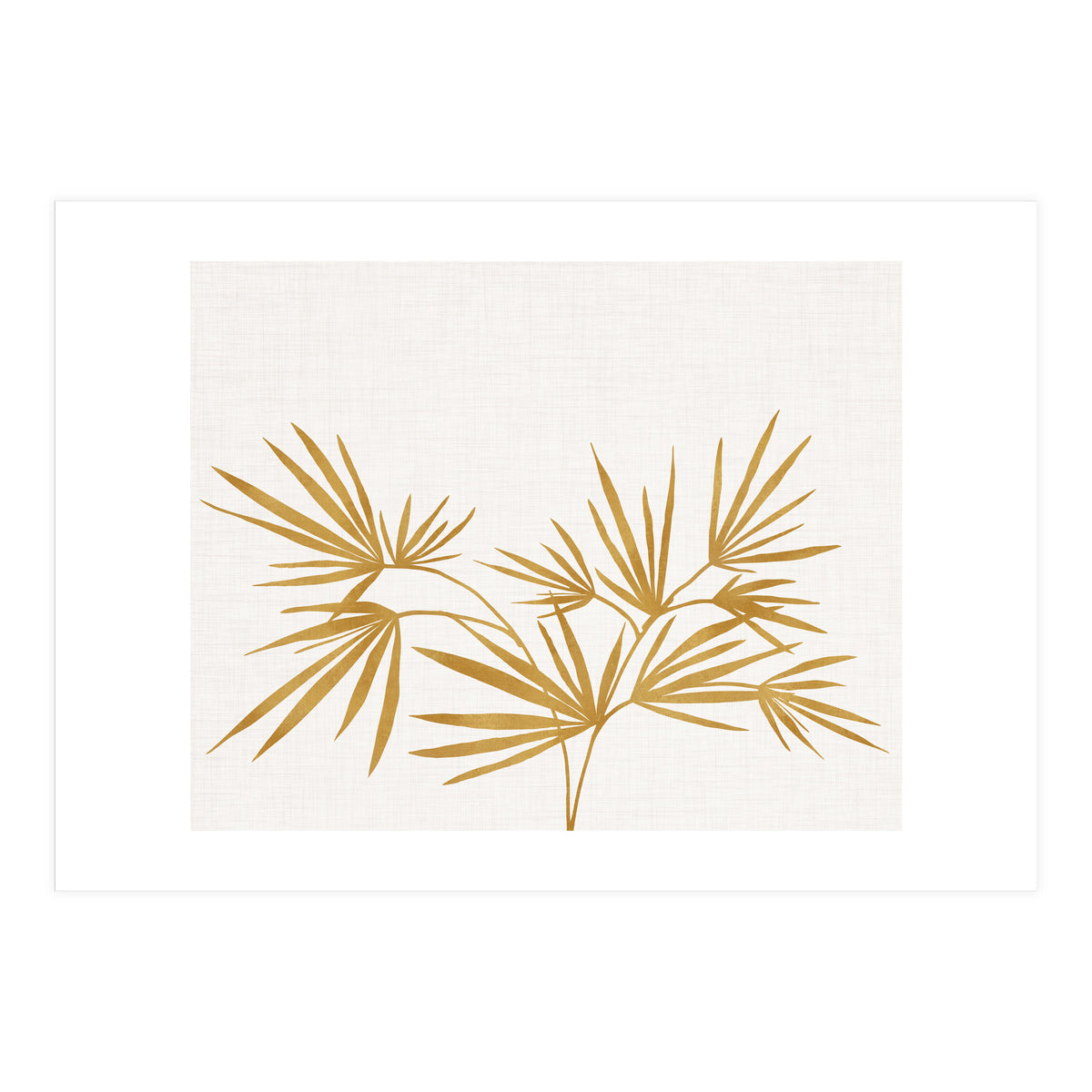Golden Fan Palm (Print Only)
