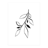 Ink Plant 2 (Print Only) thumbnail
