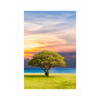 TREE with Great SKY (Print Only)