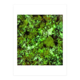 In Disguise (Print Only) thumbnail