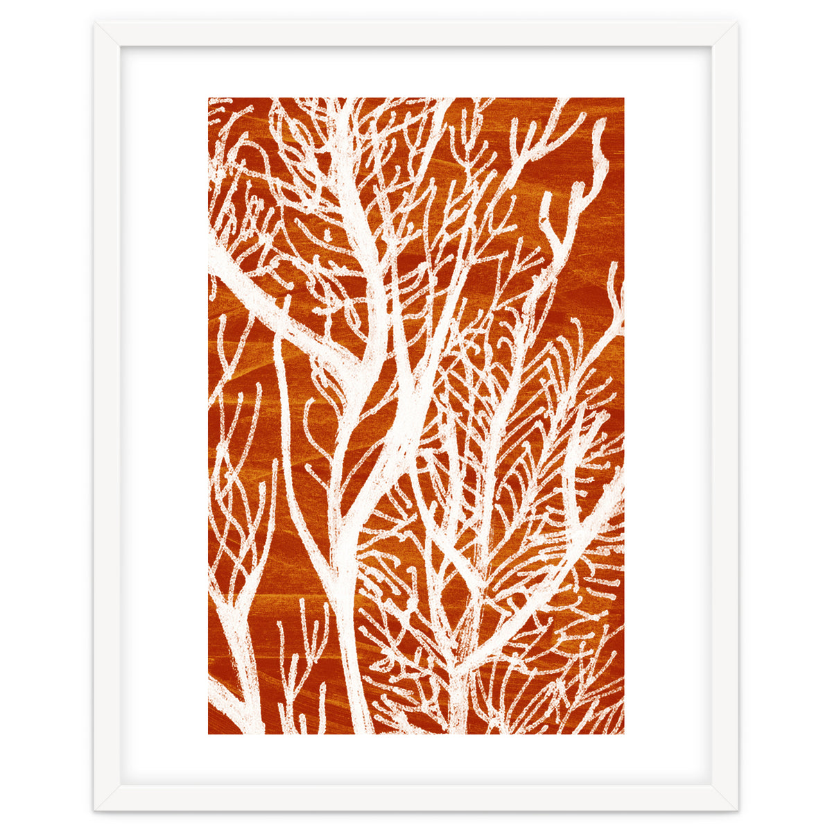 Desert Colours Collection 2