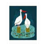 Pelicans (Print Only) thumbnail