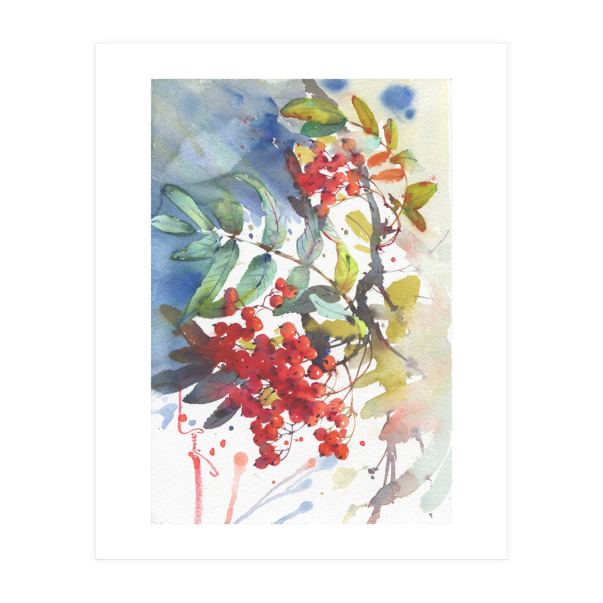 Viburnum / Guelder rose (Print Only)