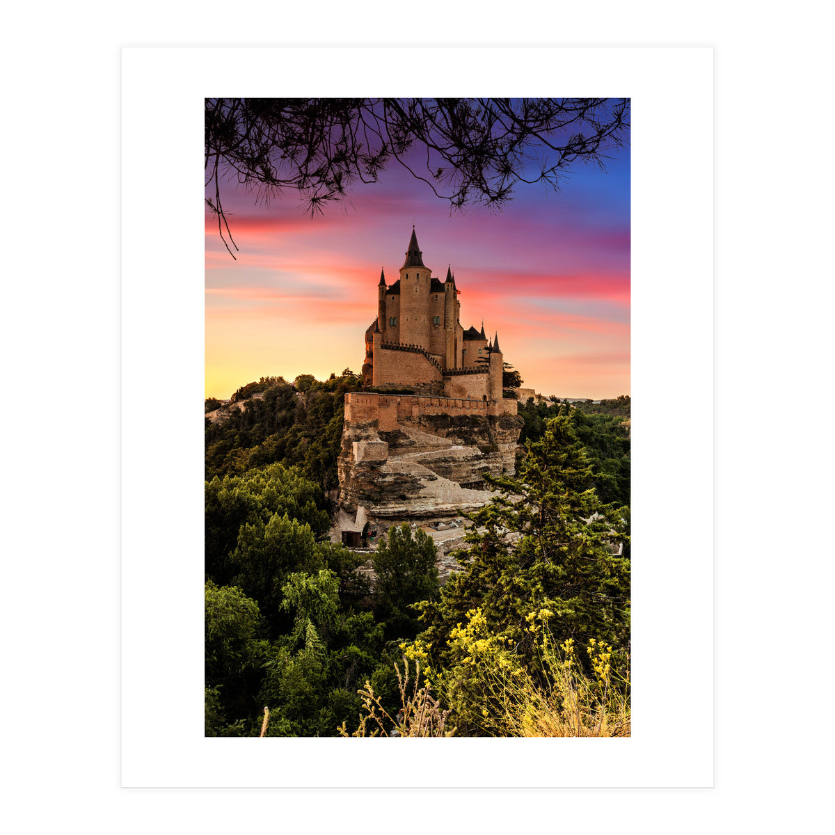 Daydream (Print Only)