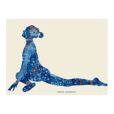 Eka Pada Rajakapotasana | Pigeon Pose (Print Only) thumbnail