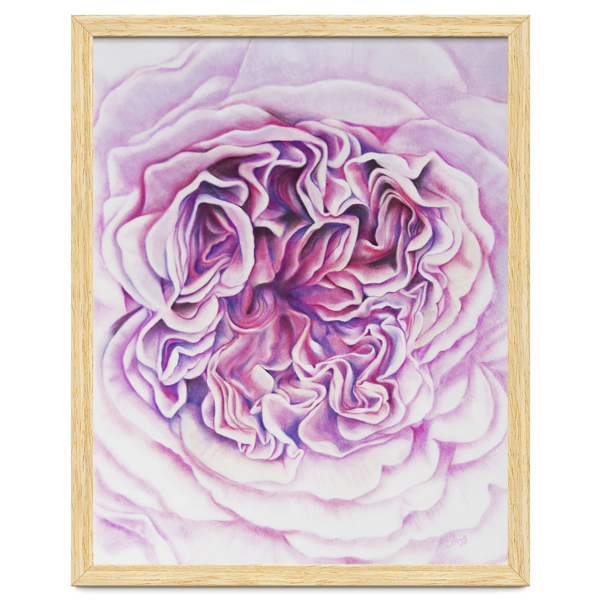 A Rose Is A Rose Std