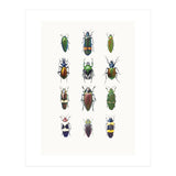 Cc Insects 03 (Print Only) thumbnail