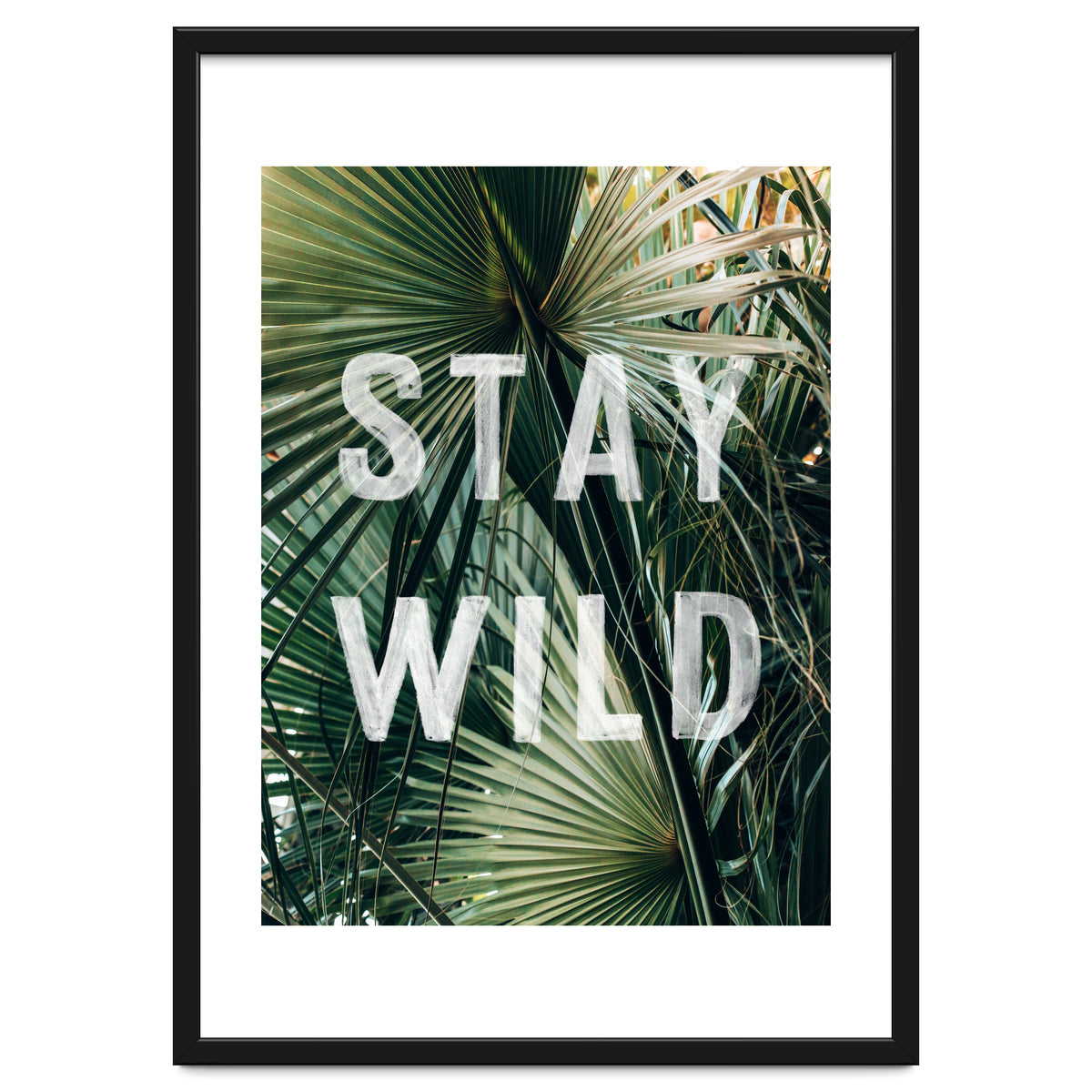 Stay Wild