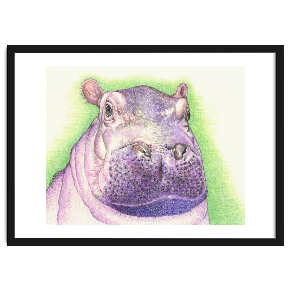 Purple Hippo