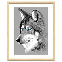 Sketch Wolf