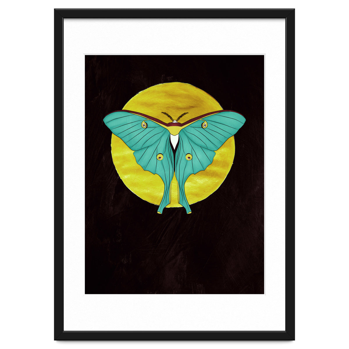Luna Moth Moon
