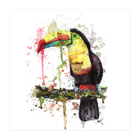 Toucan - Wildlife Collection (Print Only)