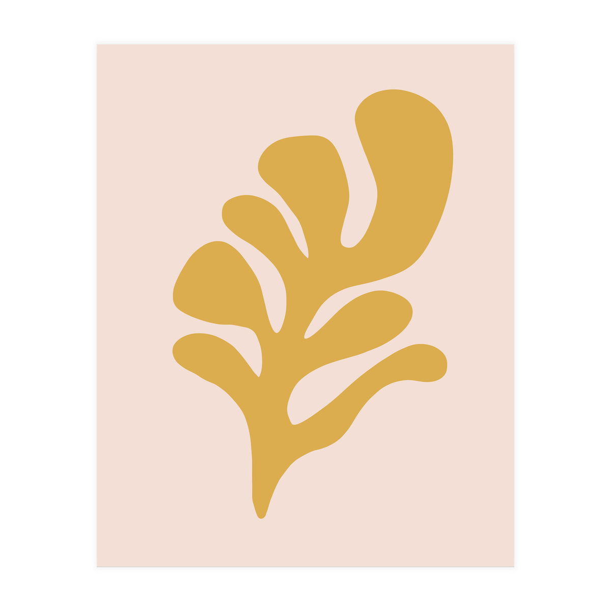 Matisse Inspo (Print Only)