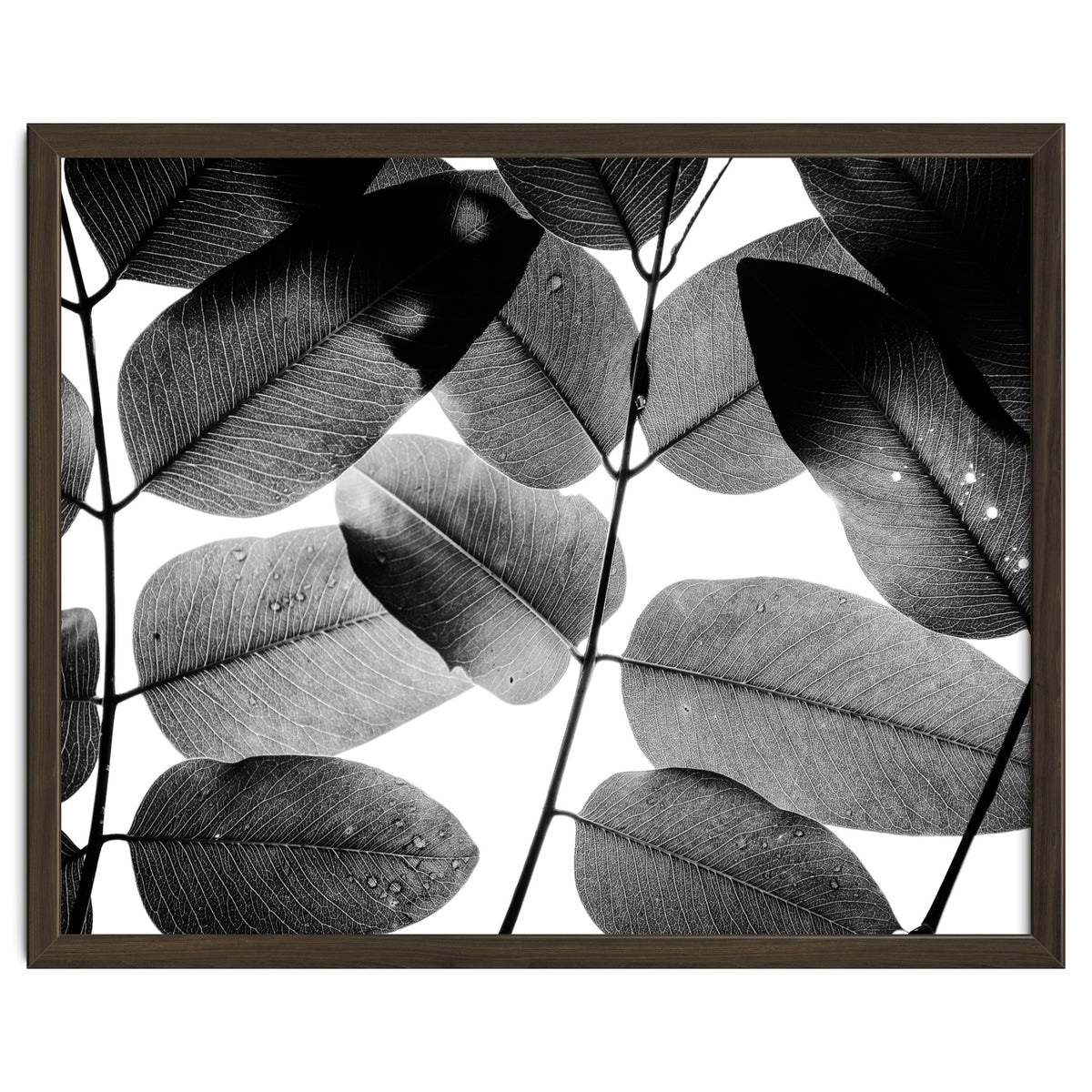 Experiments with Leaves II