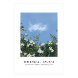 Odisha, India (Print Only) thumbnail