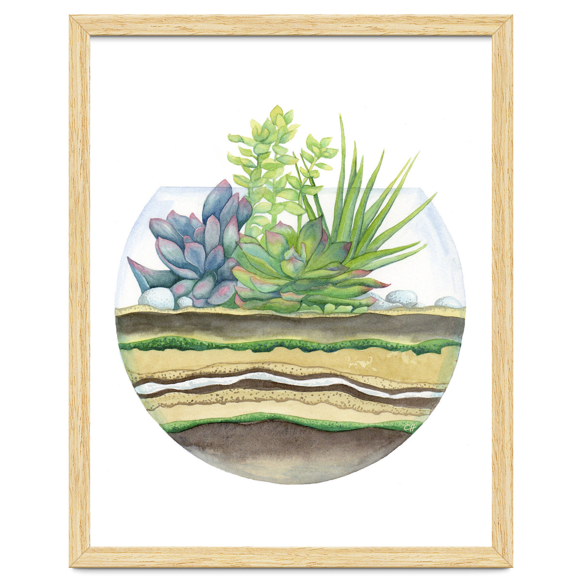 A Little Green Terrarium