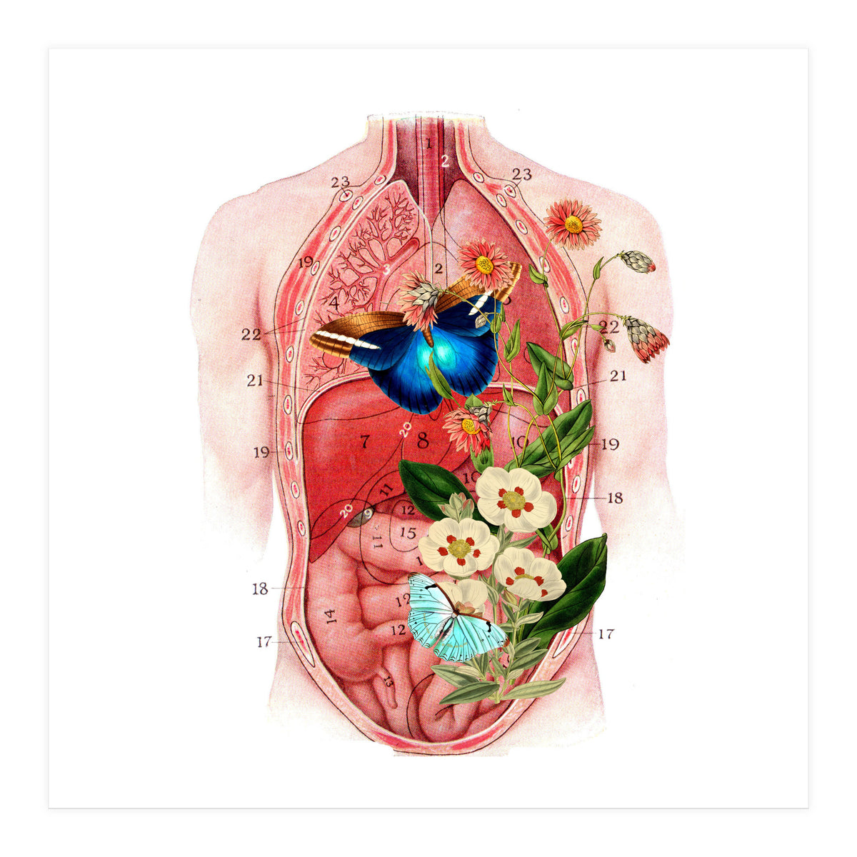 Butterflys In The Belly Makes Flower Grows (Print Only)