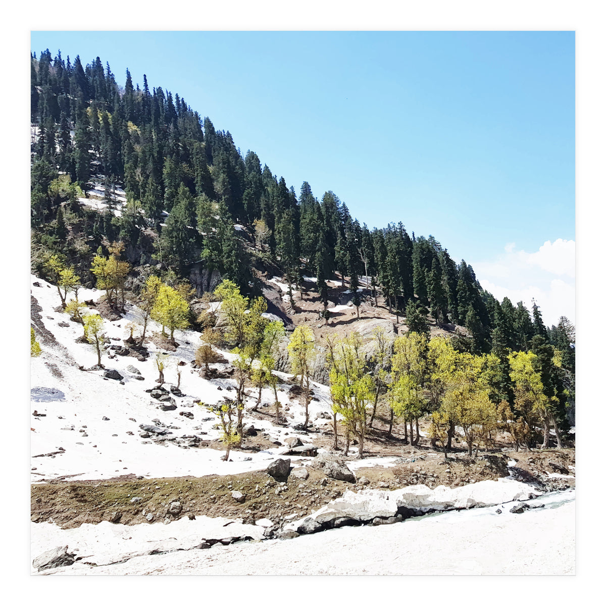 Kashmir V2 (Print Only)