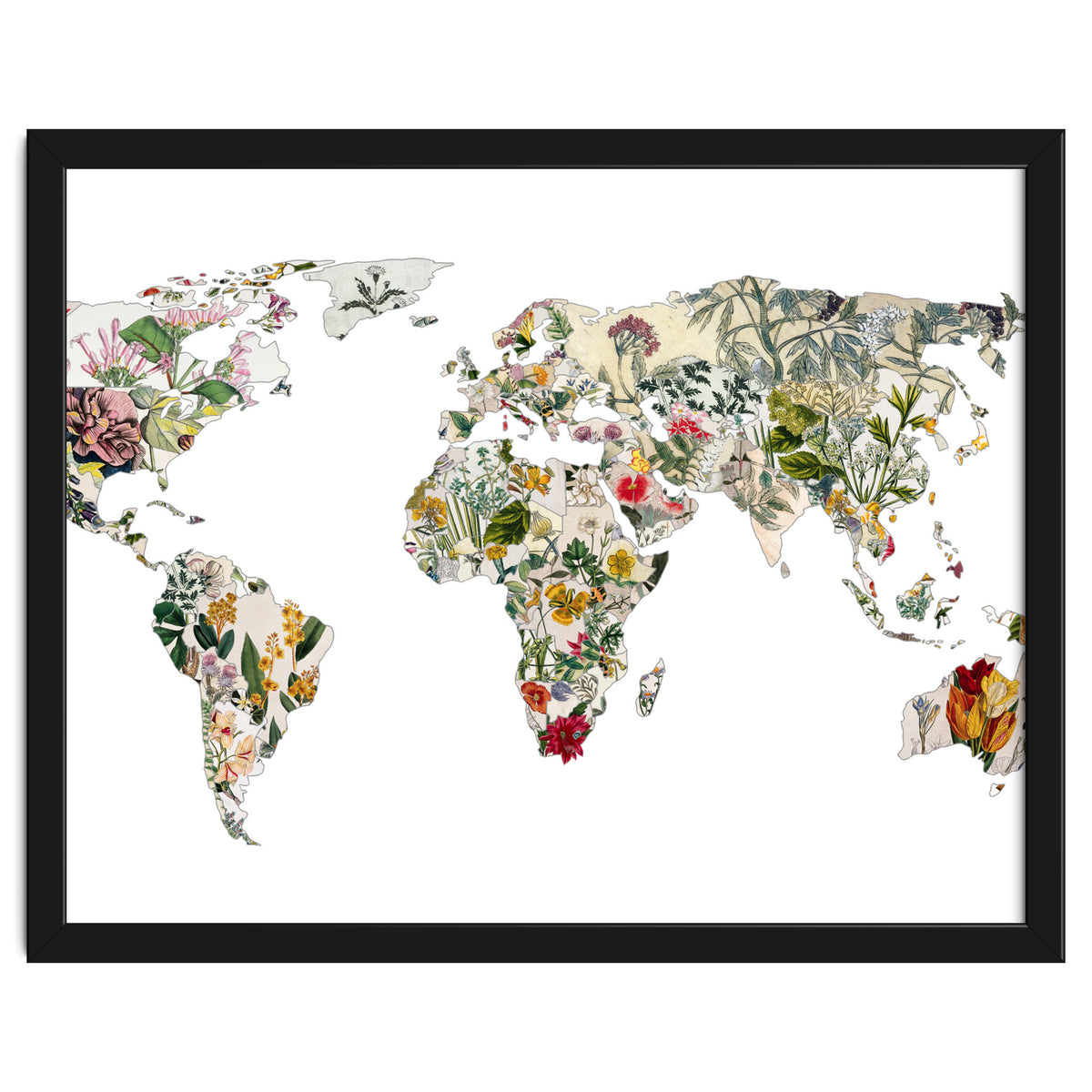 Vintage Botanical Map