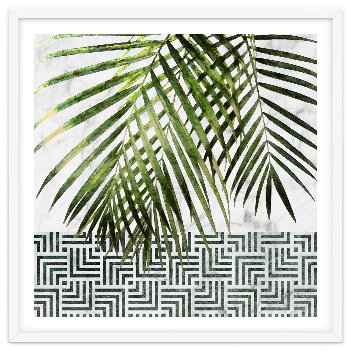Palm Leaves On White Marble And Tiles