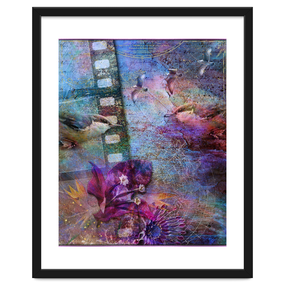 Watching the Wild World