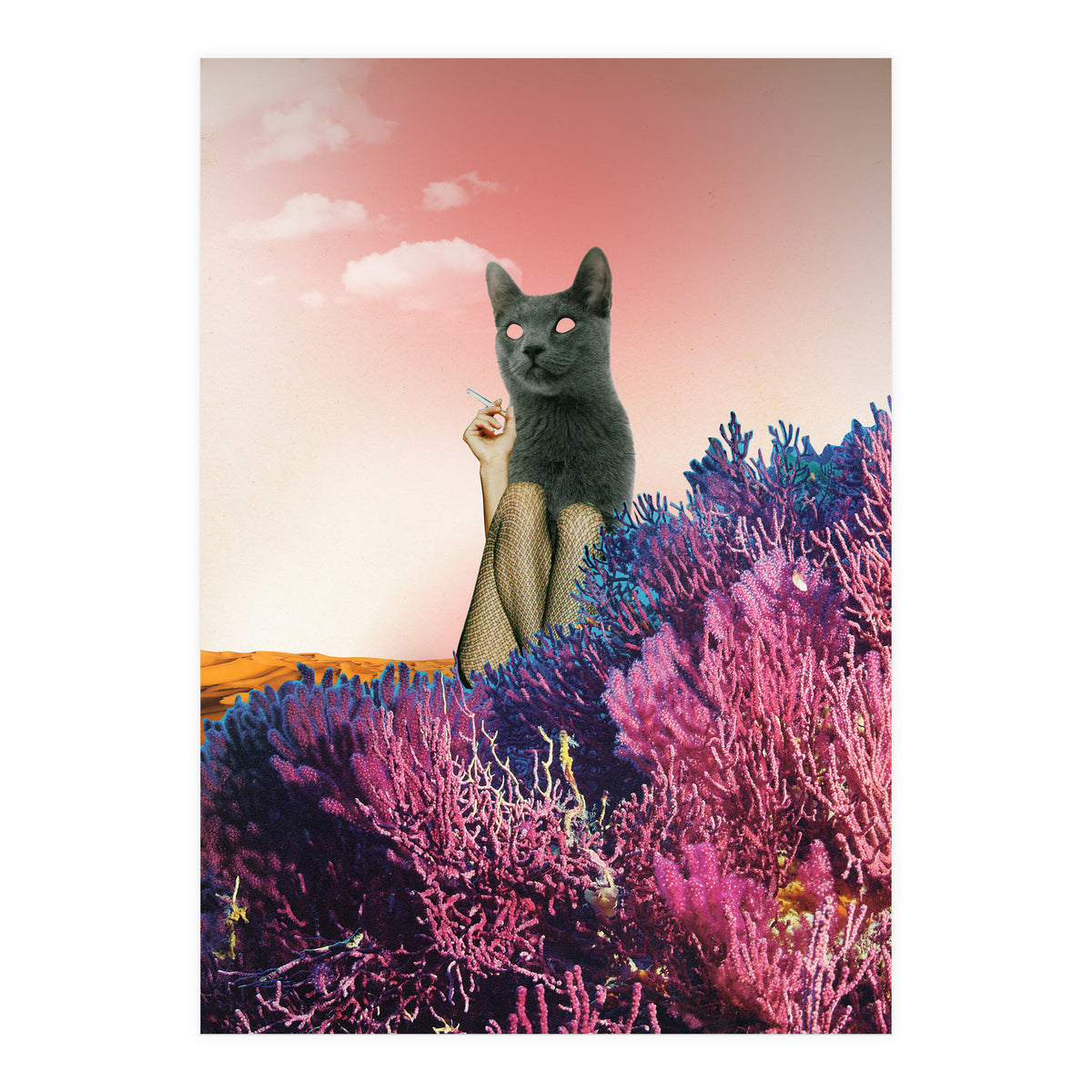 Atmosphere · The Funny Side (Print Only)