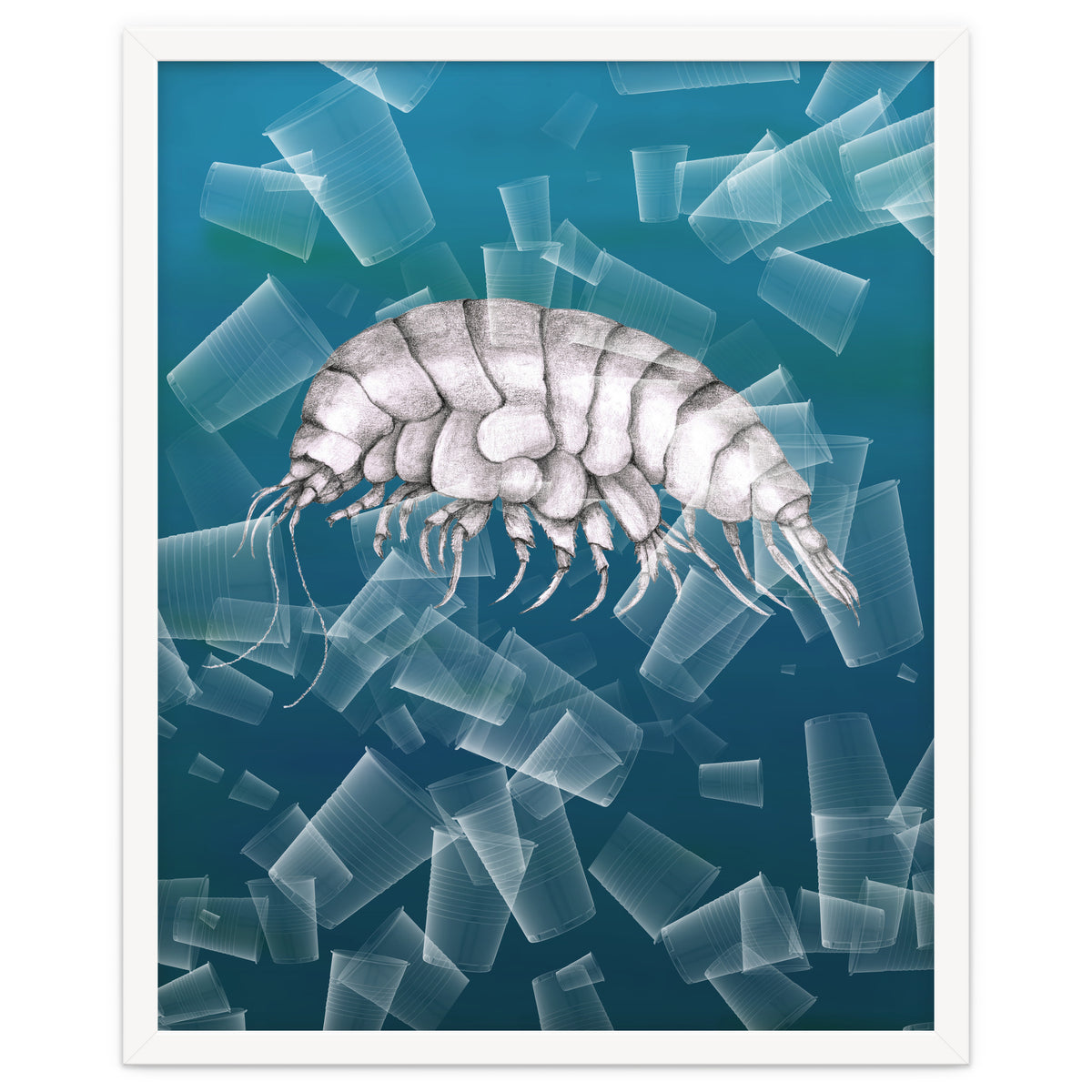 Eurythenes Plasticus