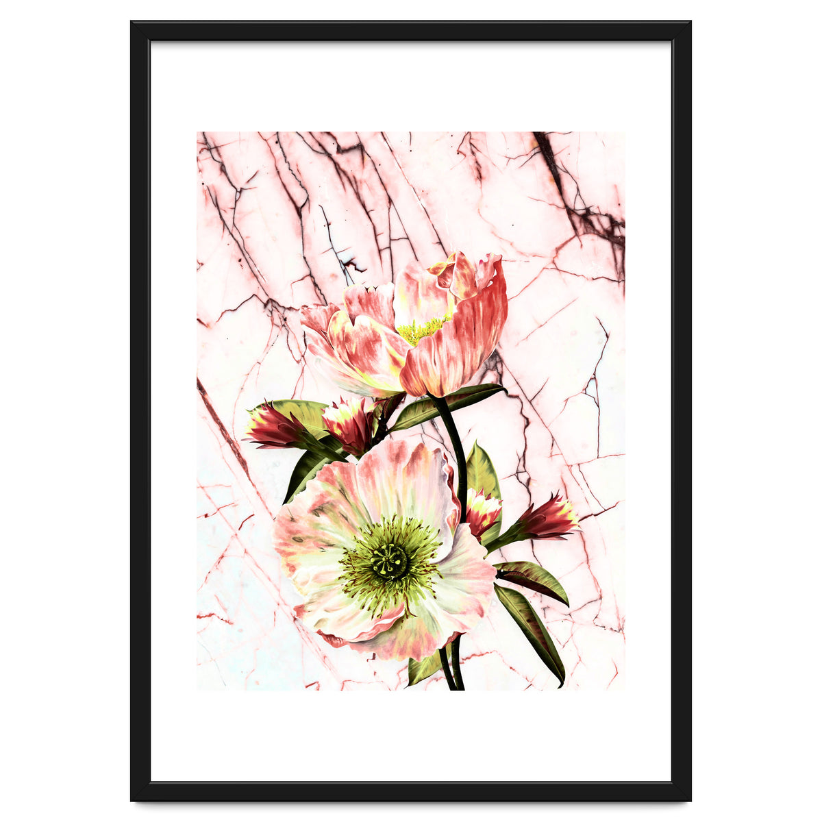 Flowering on pink marble