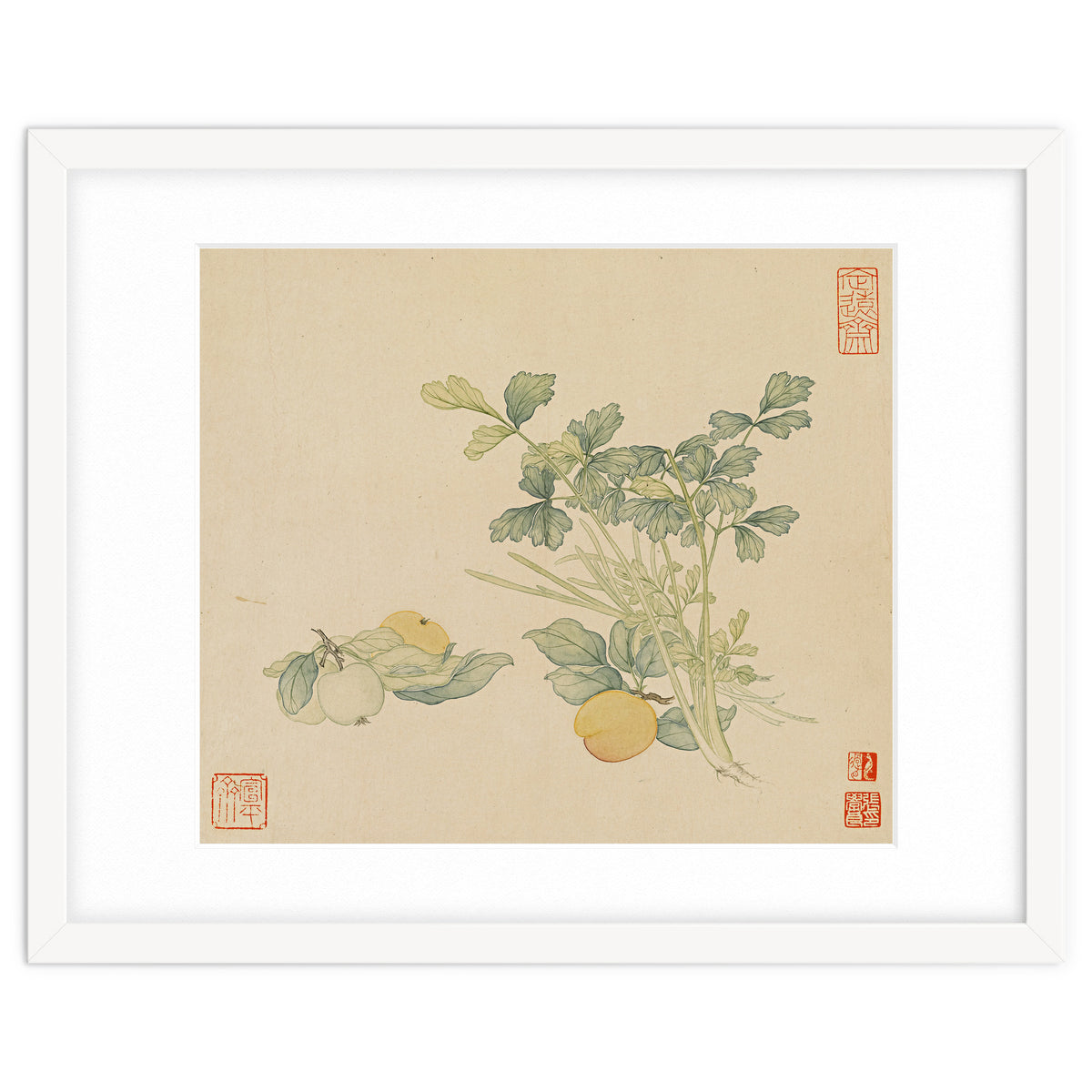 Wang Chengyu~flowers And Vegetables, Vegetables, Fruits, Plums, Apricots, Celery