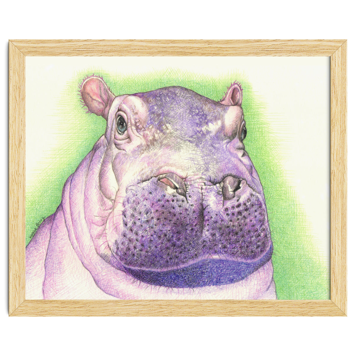 Purple Hippo