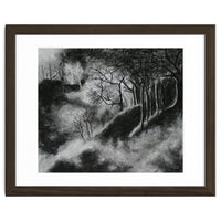 Black and White Forest in Clouds