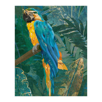Macaw Meditation in the tropical jungle (Print Only)