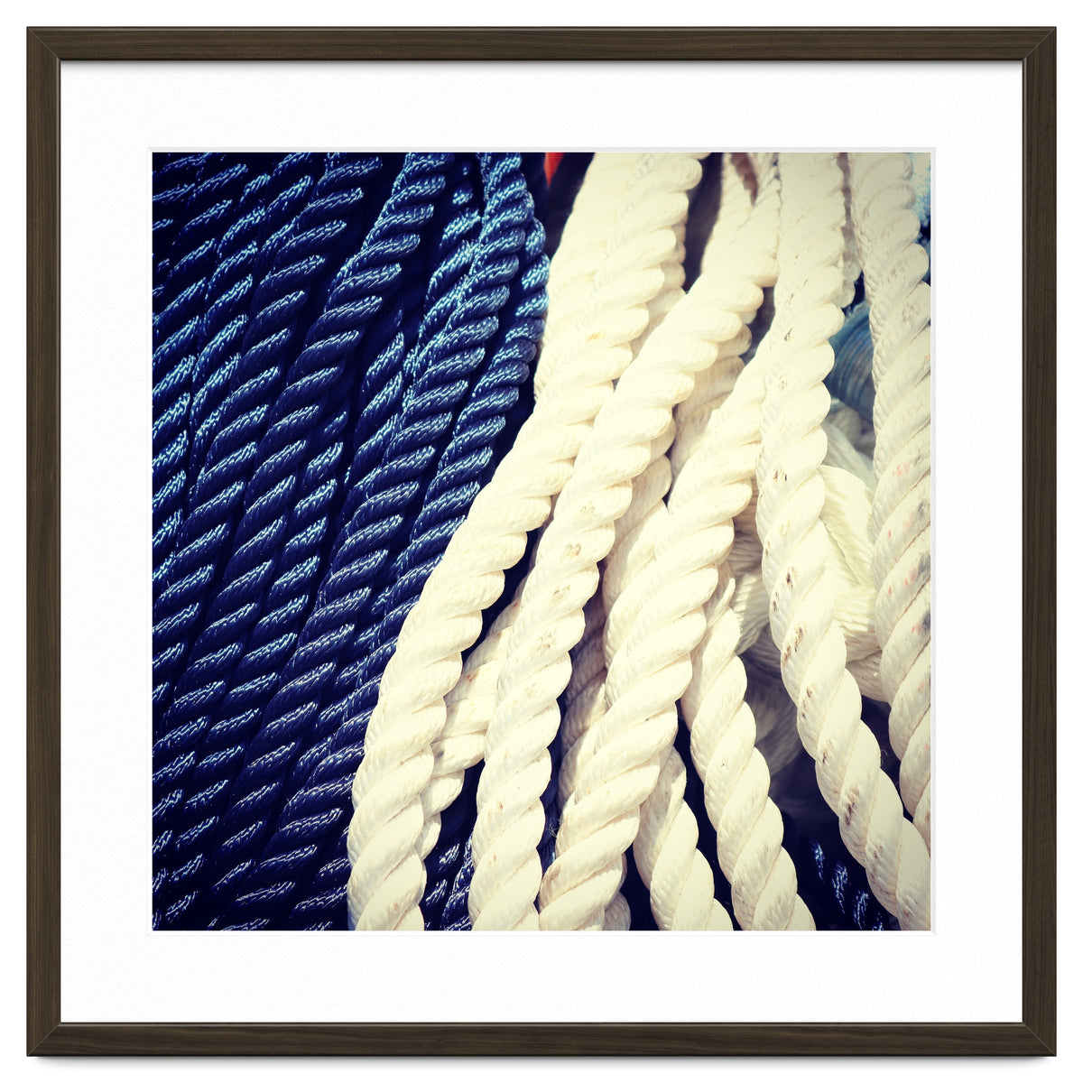 Blue and white fishing rope