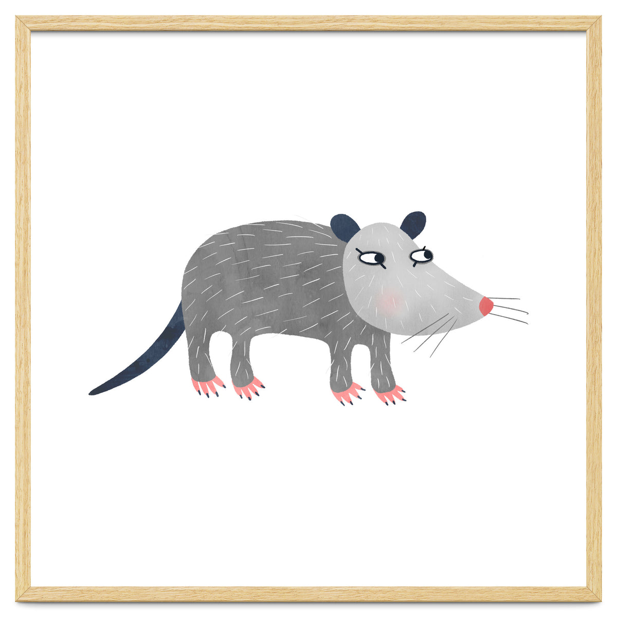 Possum