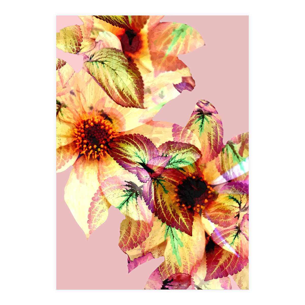 Flower Power (Print Only)