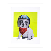 Easy Rider Dog (Print Only)