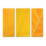 Autumn Leaves (Print Only) thumbnail