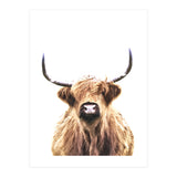 Highland Cow Portrait (Print Only) thumbnail