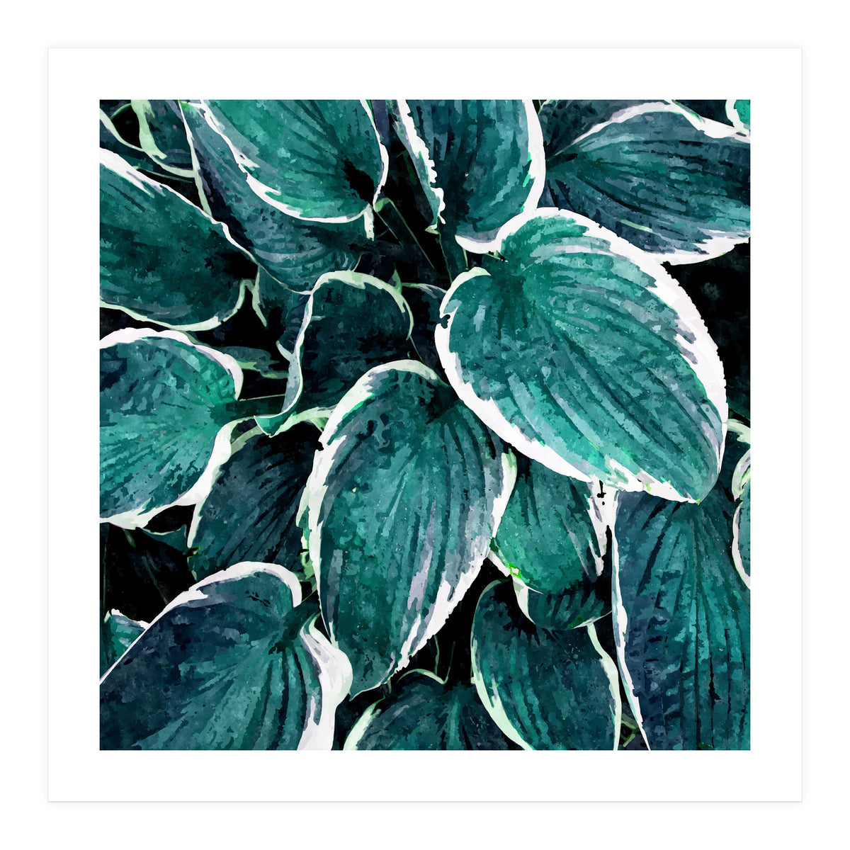 Sacred Edge (Print Only)