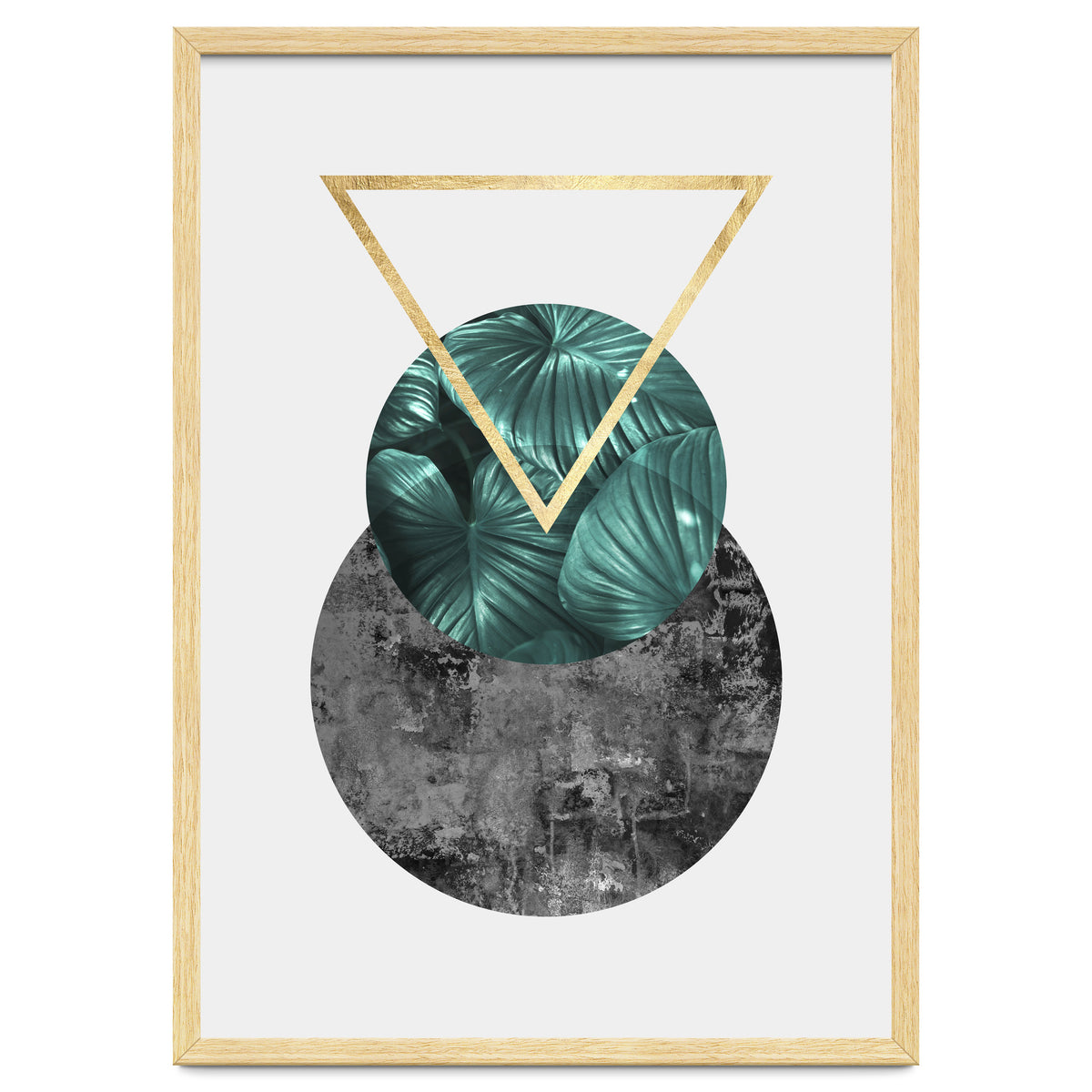 Botanical and geometric I