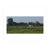 Freedom (Print Only) thumbnail
