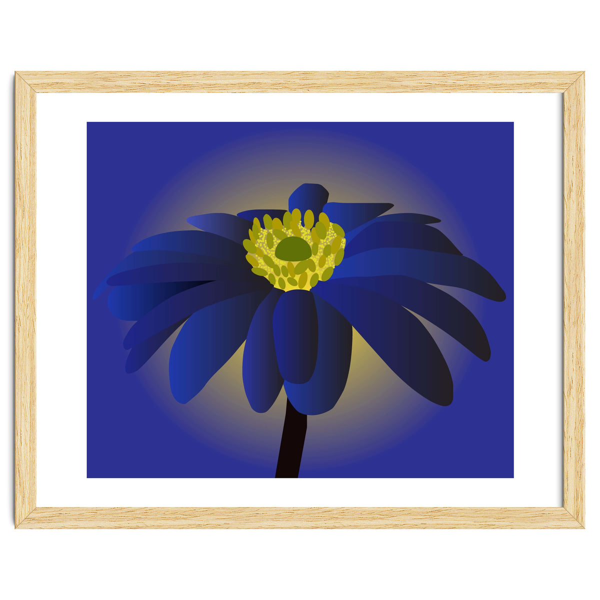 Anemone Blanda Flower Art