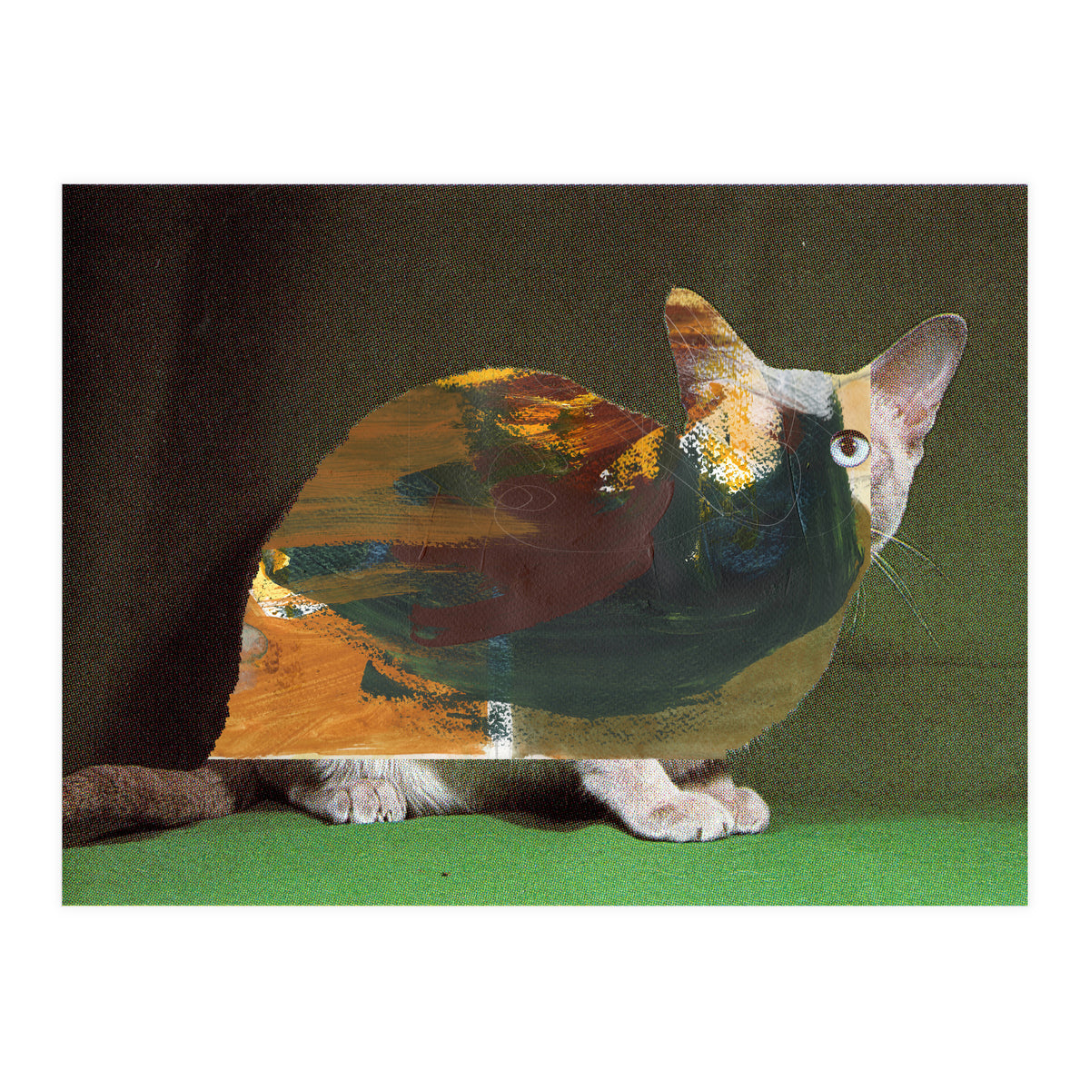 Color Cat (Print Only)
