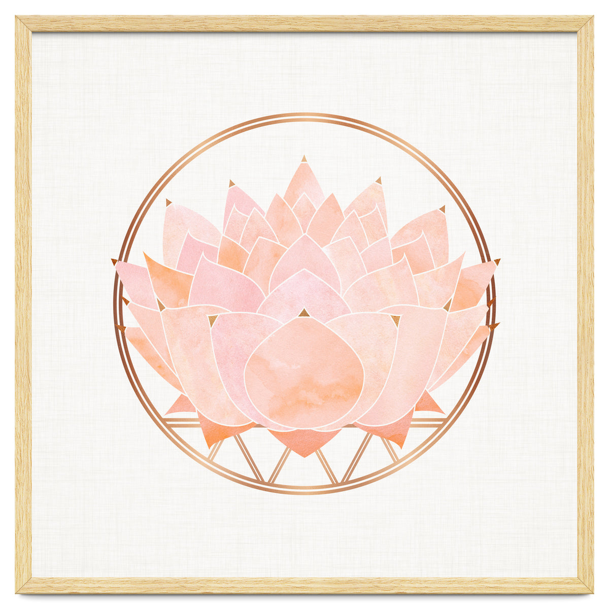 Peach Succulent  Blossom