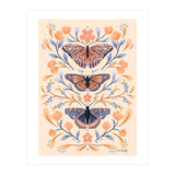 Floral Butterflies (Print Only) thumbnail