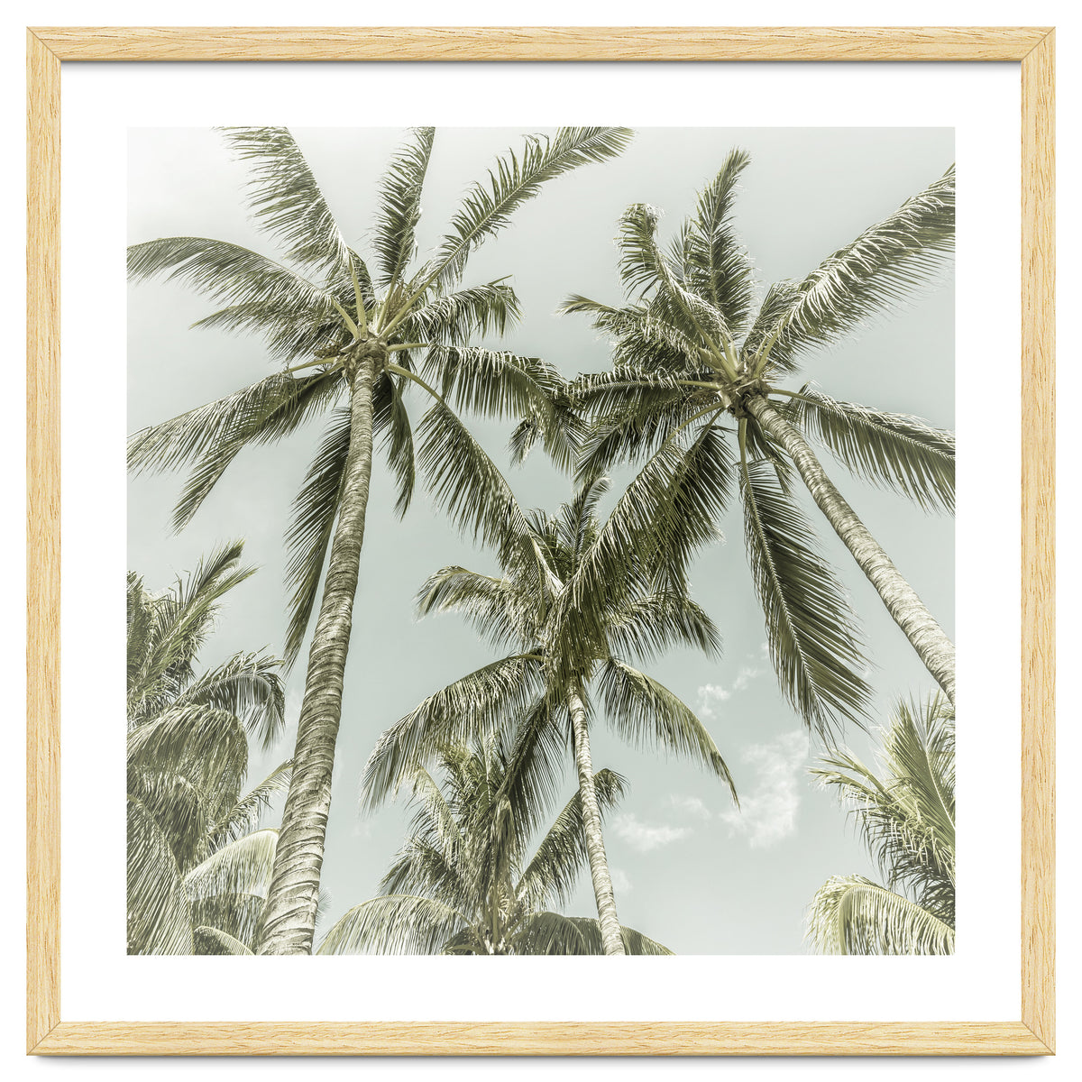 Lovely Palm Trees | Vintage