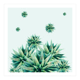 Tropical Stars (Print Only) thumbnail