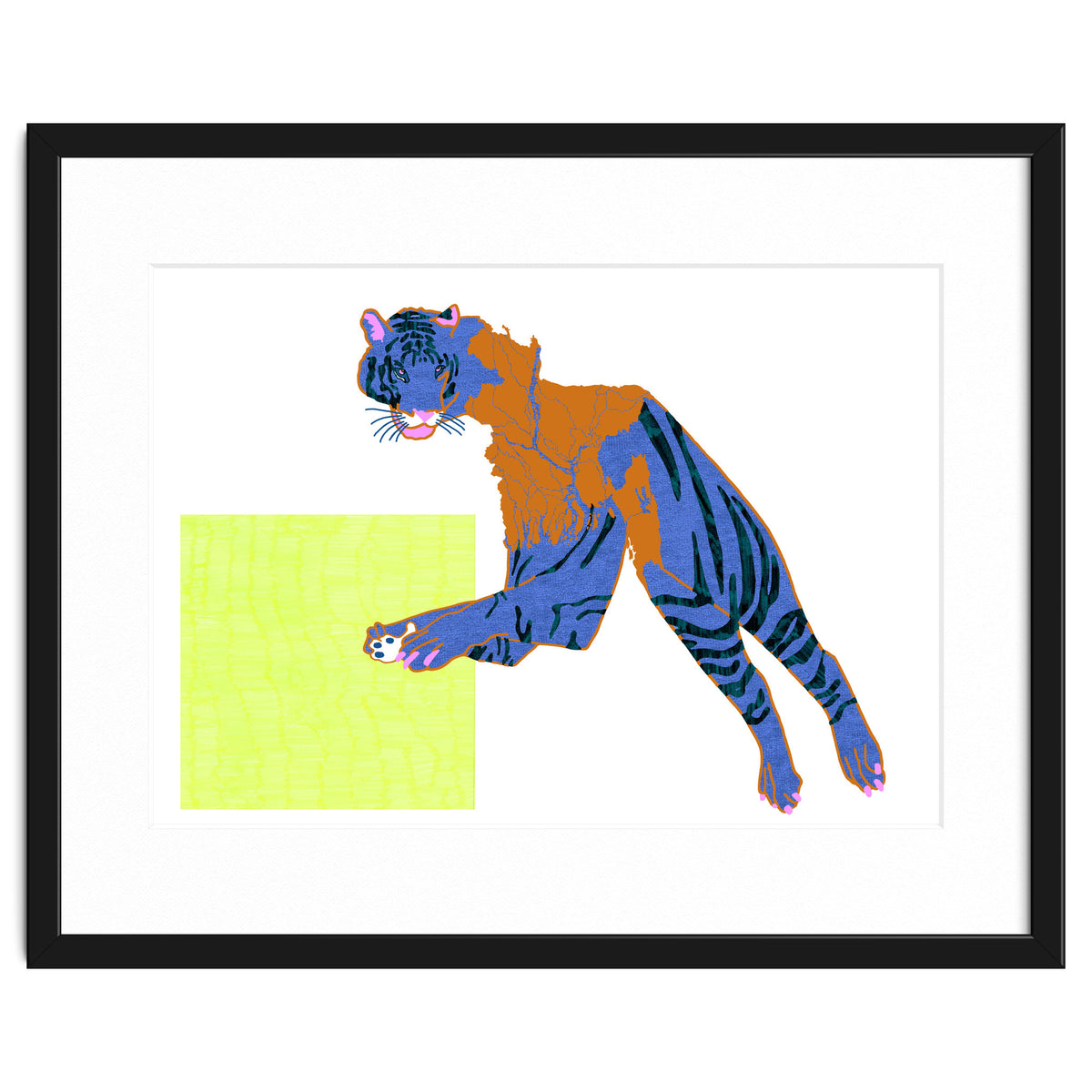 Bangladeshi Bengal Tiger