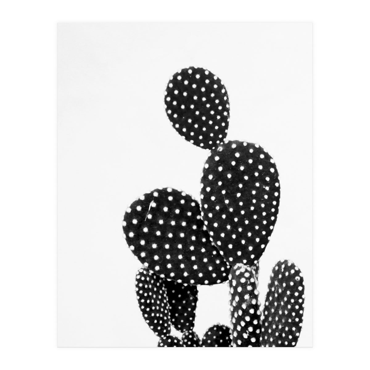 cactus vertical (Print Only)