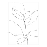 Seven Leaf Plant (Print Only) thumbnail